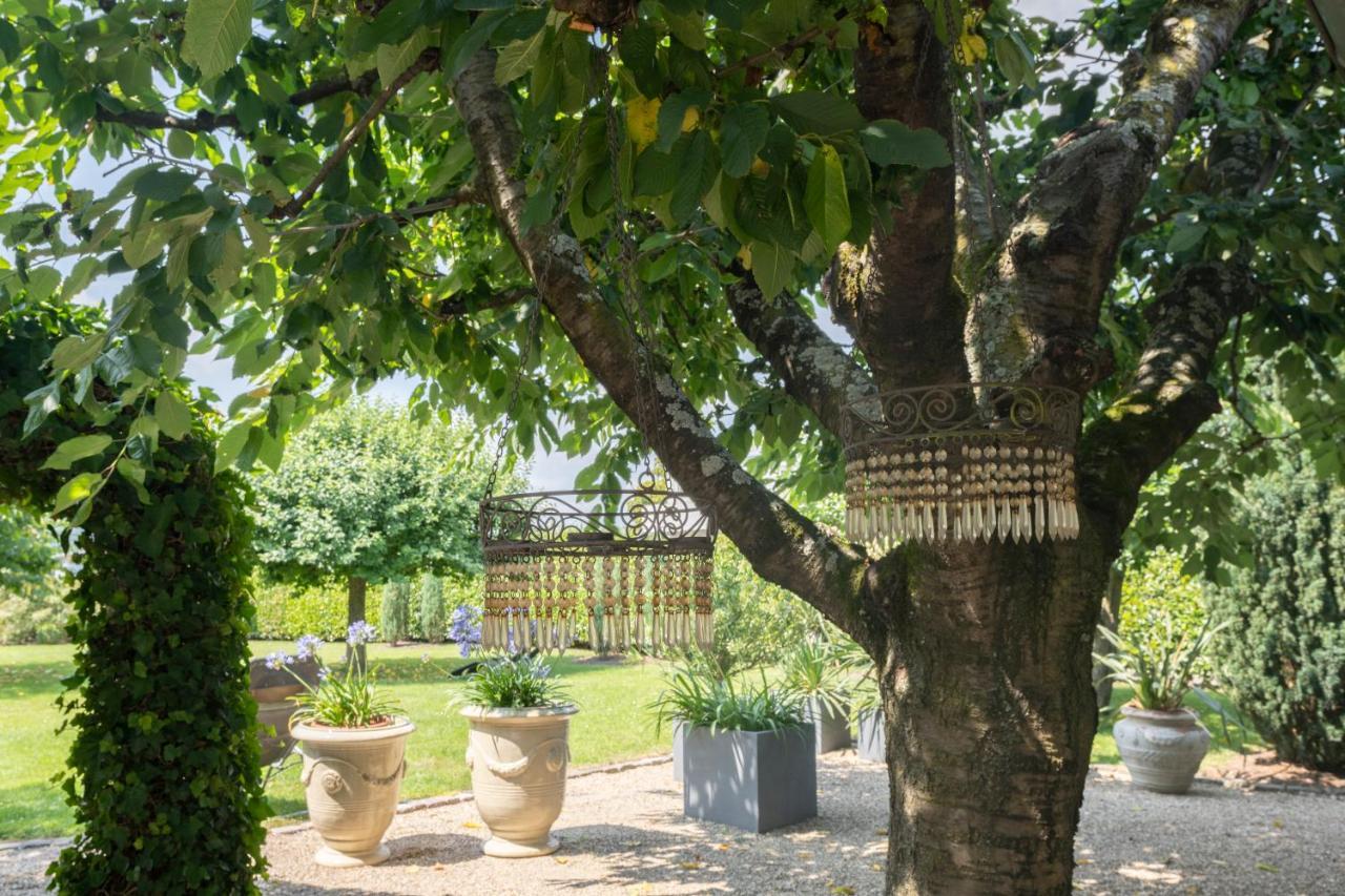 Wein Und Landhaus Kallfels Kröv Exteriör bild